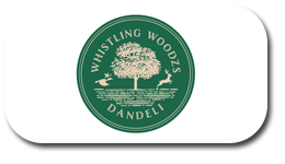 Logo1